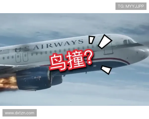 鎷夋尝灏斿鍔涙帹灏肩杞細锛屽焹璐濆皵瀵嗗垏鍏虫敞浜ゆ槗缁嗚妭
